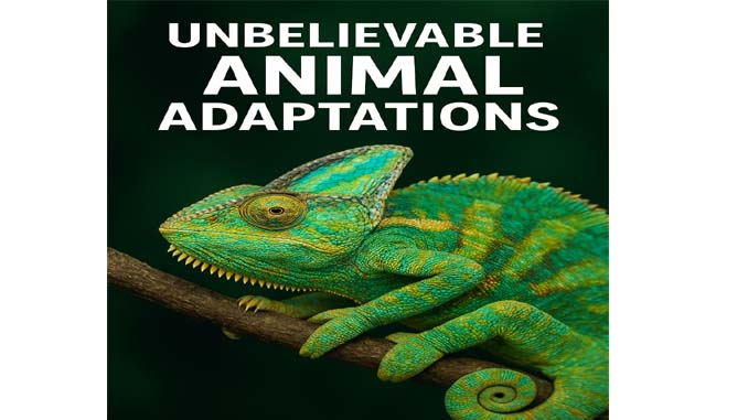 Unbelievable Animal Adaptations